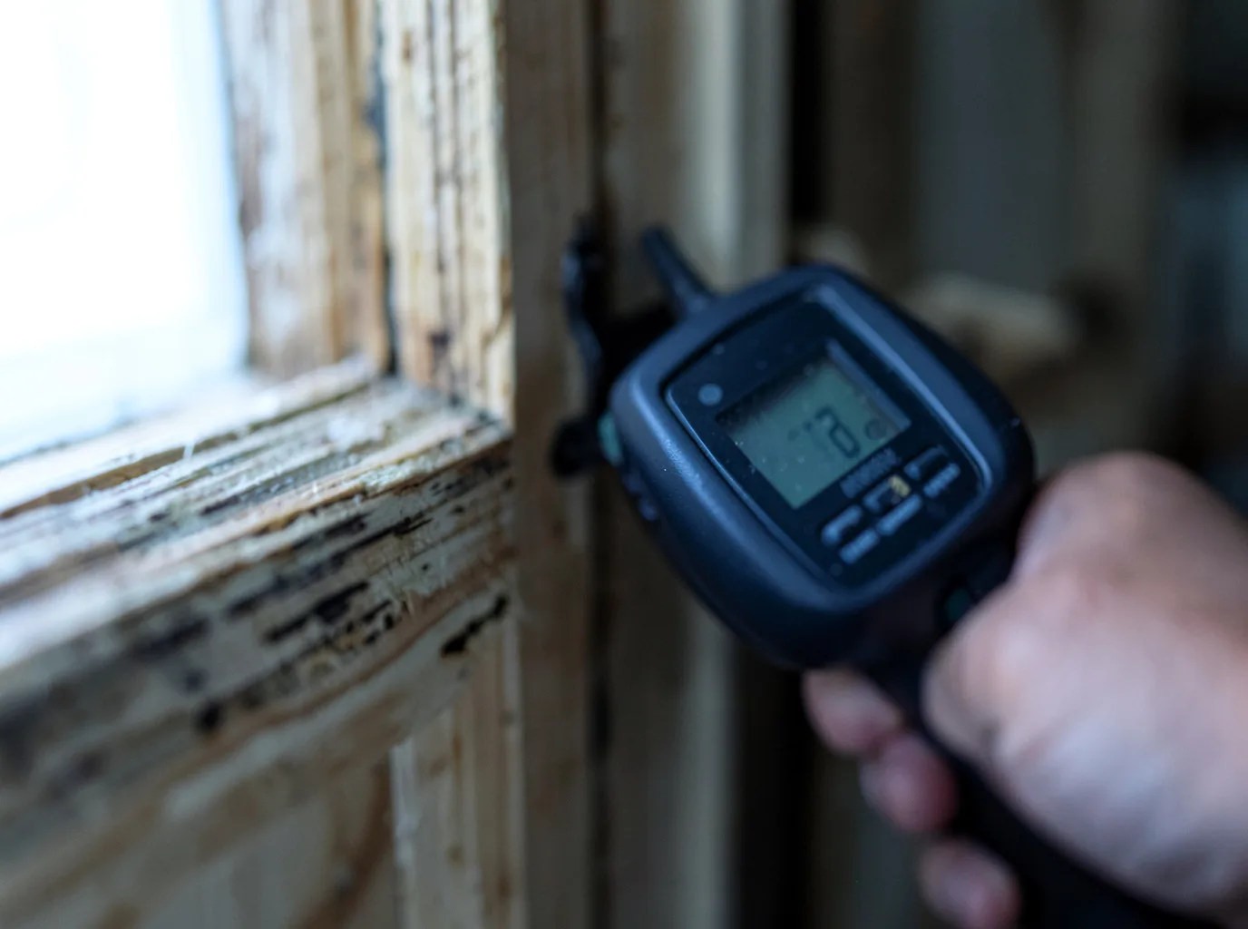 Moisture Inspection And Documentation in Montague, MA